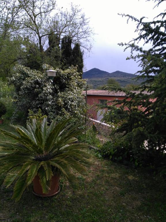 Agriturismo Usurtala Orani Extérieur photo